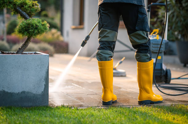 Best Pressure Washing Company Near Me  in Lake Mack Forest Hills, FL